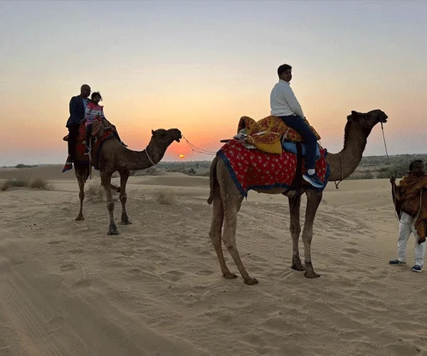Guests riding decorated camels at sunset on Sam Sand Dunes